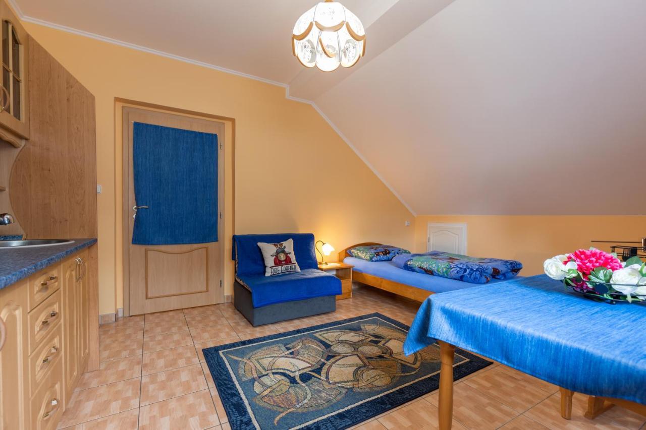 Pension Eric Ostrov (Karlovy Vary) Exterior foto