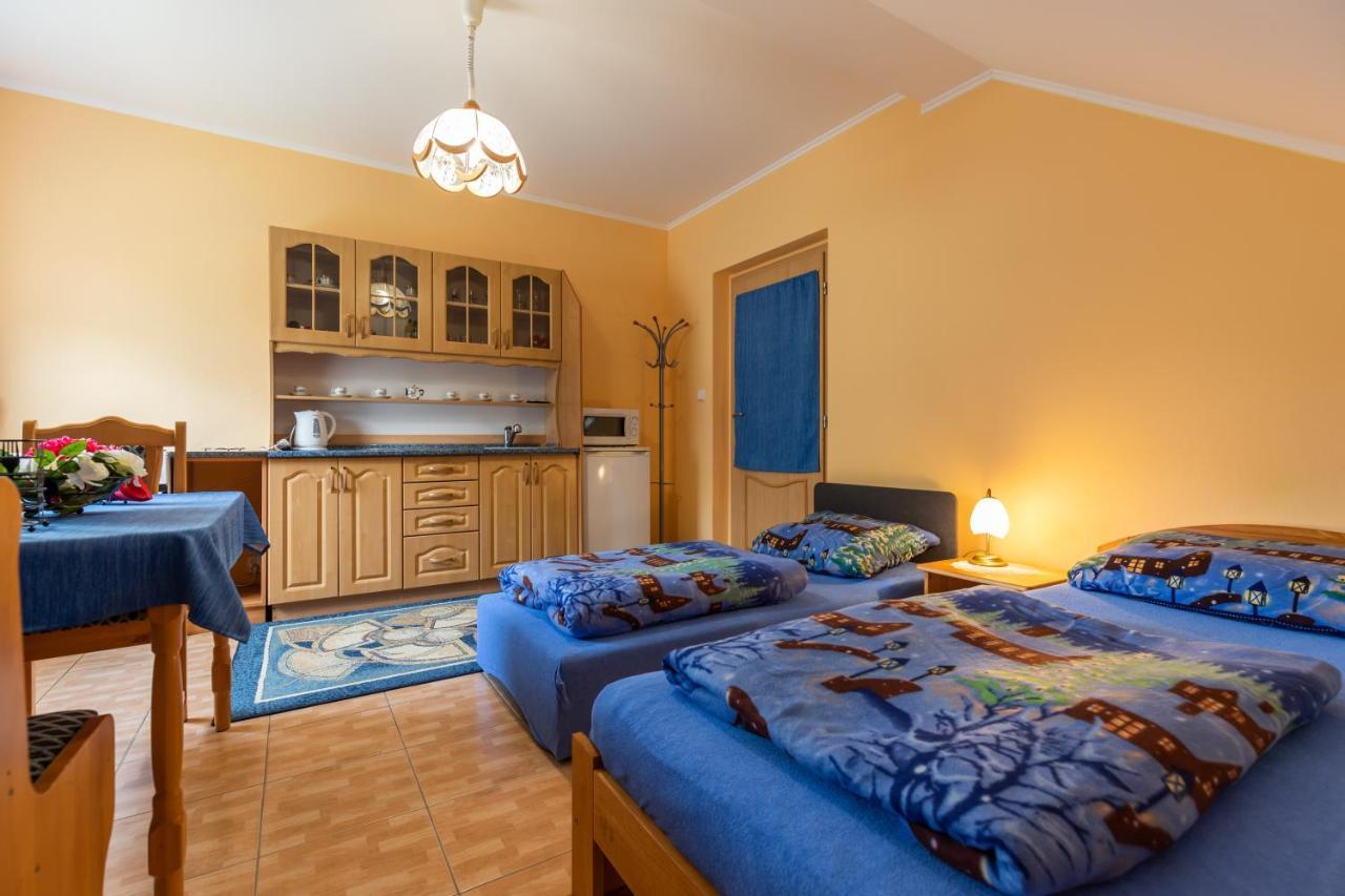 Pension Eric Ostrov (Karlovy Vary) Exterior foto